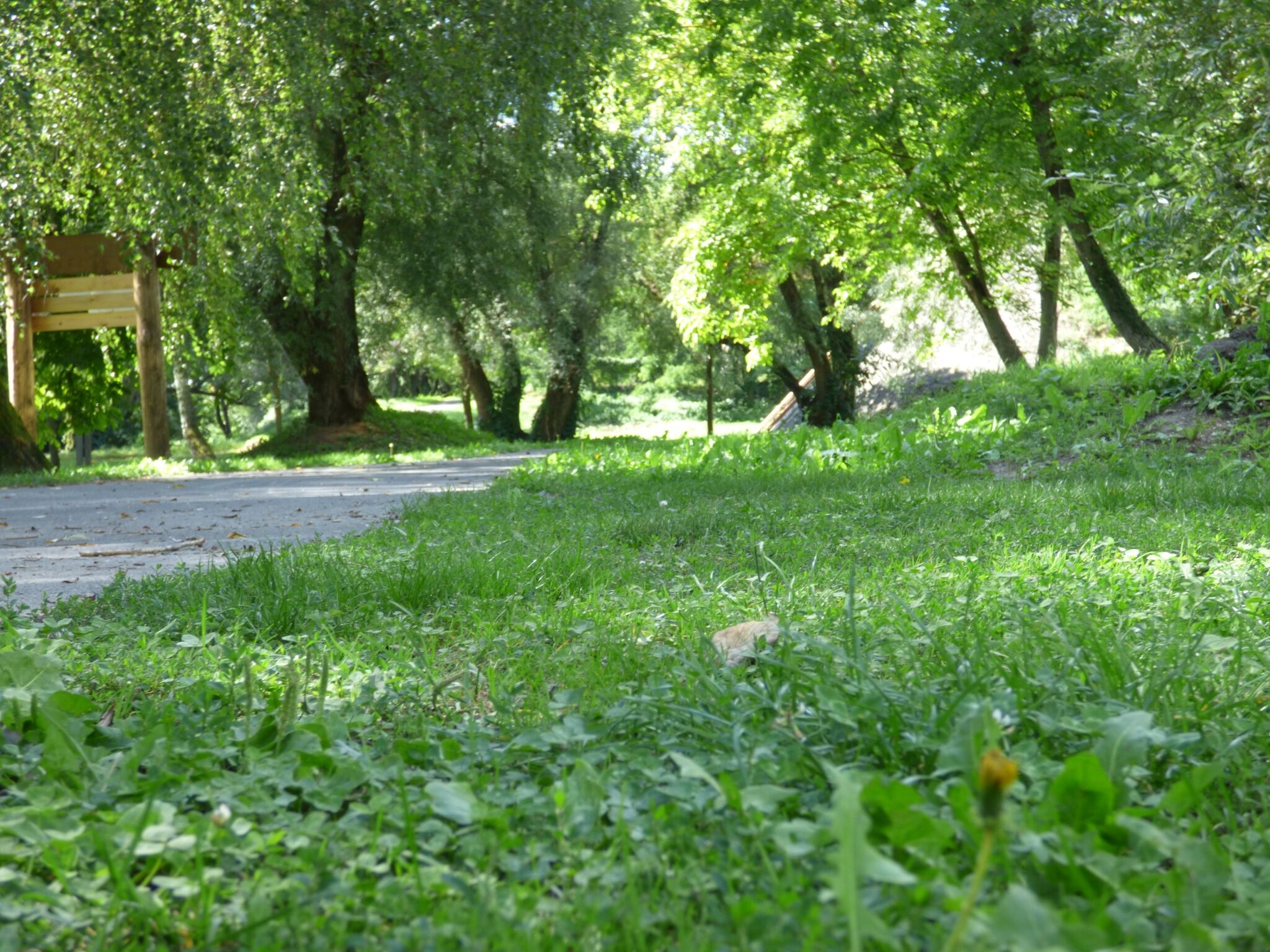 Bega Apartman – Barcs fotó 6