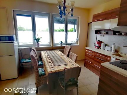 Zöld Béka Hőforrás Apartman11