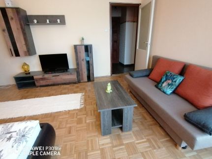 Zöld Béka Hőforrás Apartman1