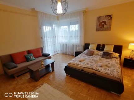 Zöld Béka Hőforrás Apartman2