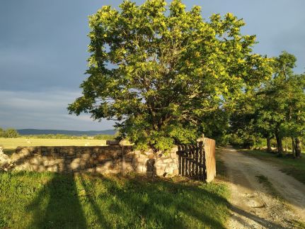 Tusculanum Vendégház – Mindszentkálla