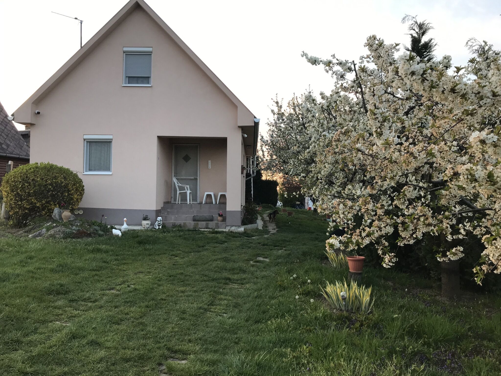 ZSUTI Apartman – Tarpa
