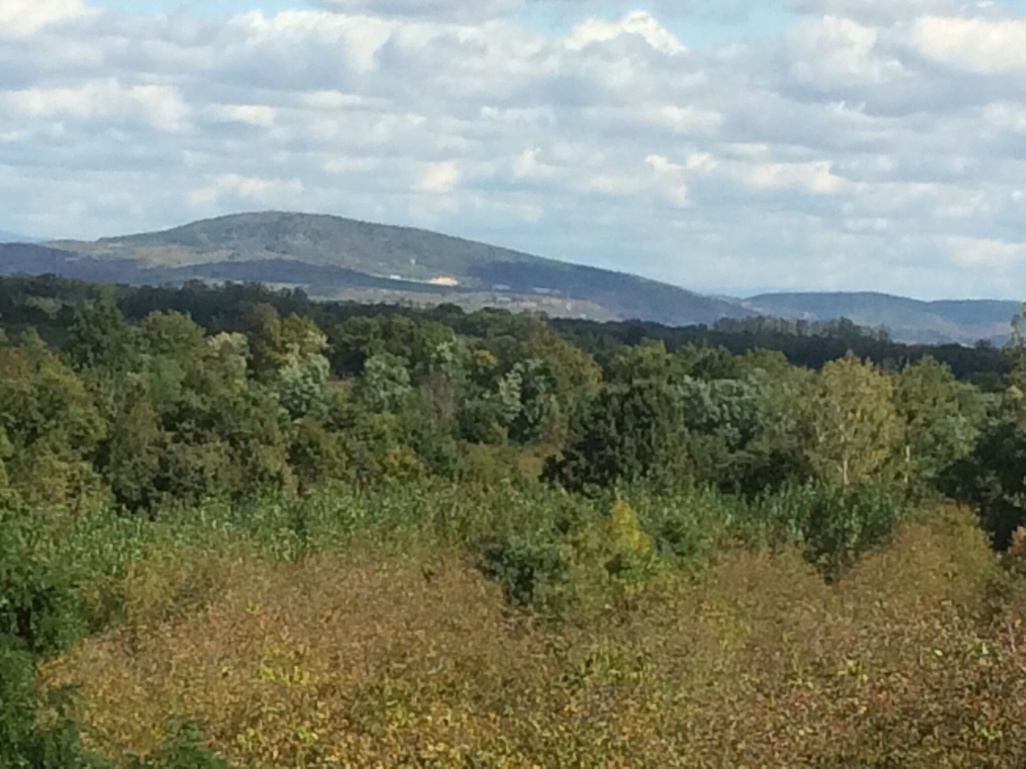 ZSUTI Apartman – Tarpa fotó 9