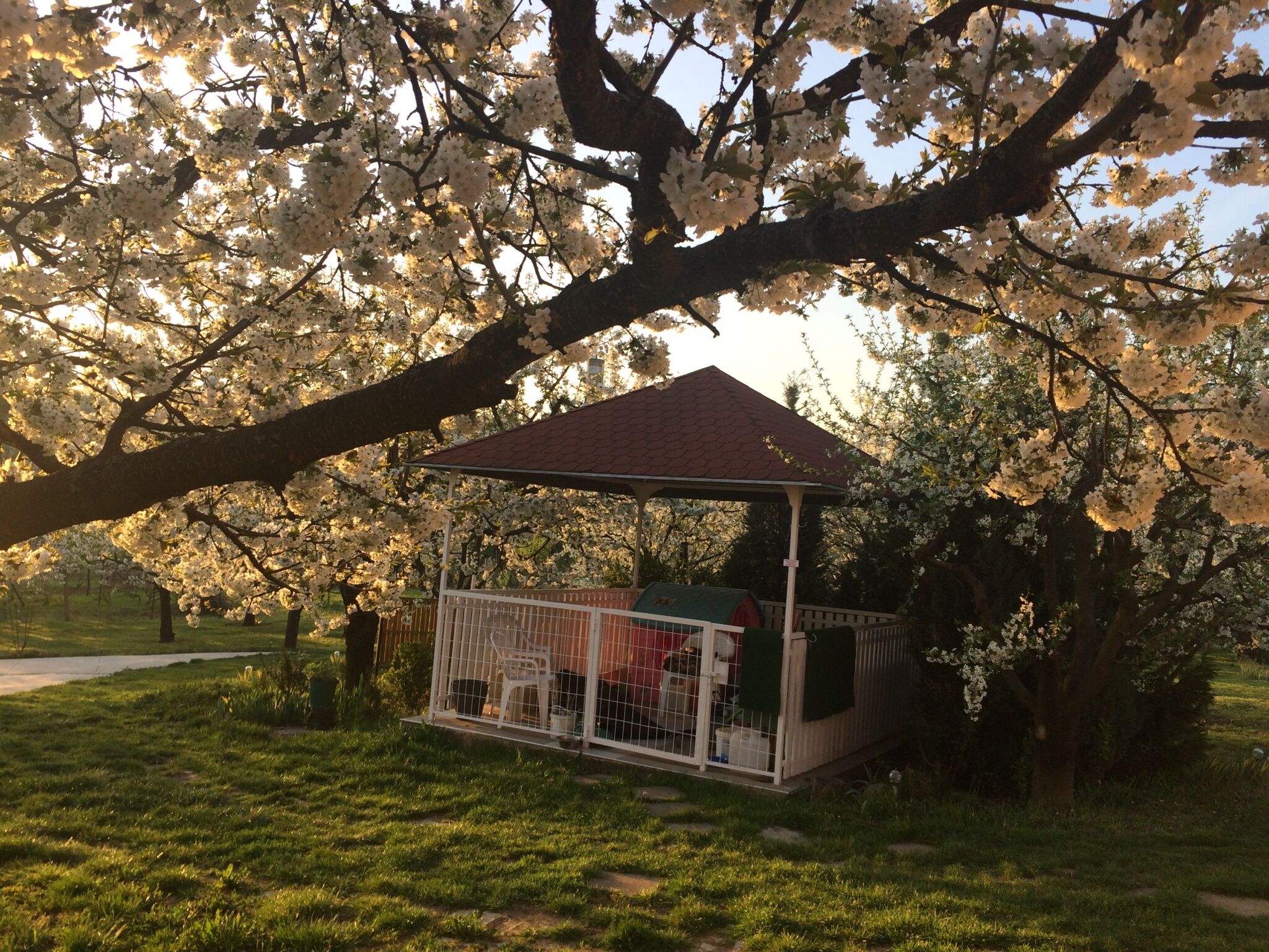 ZSUTI Apartman – Tarpa fotó 3