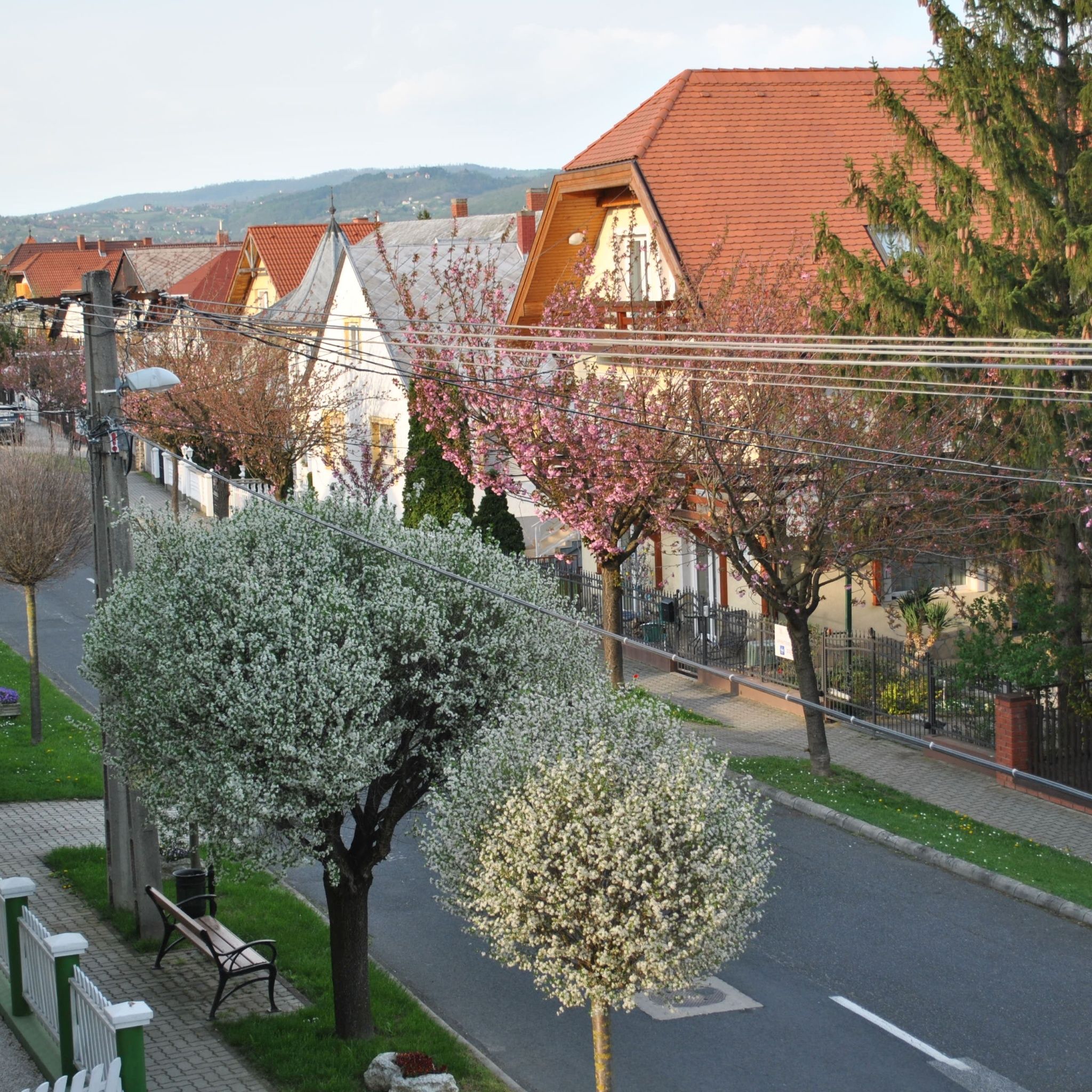 Boutique Apartment Welcome – Hévíz fotó 1