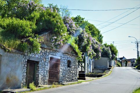 Terrace Apartments20