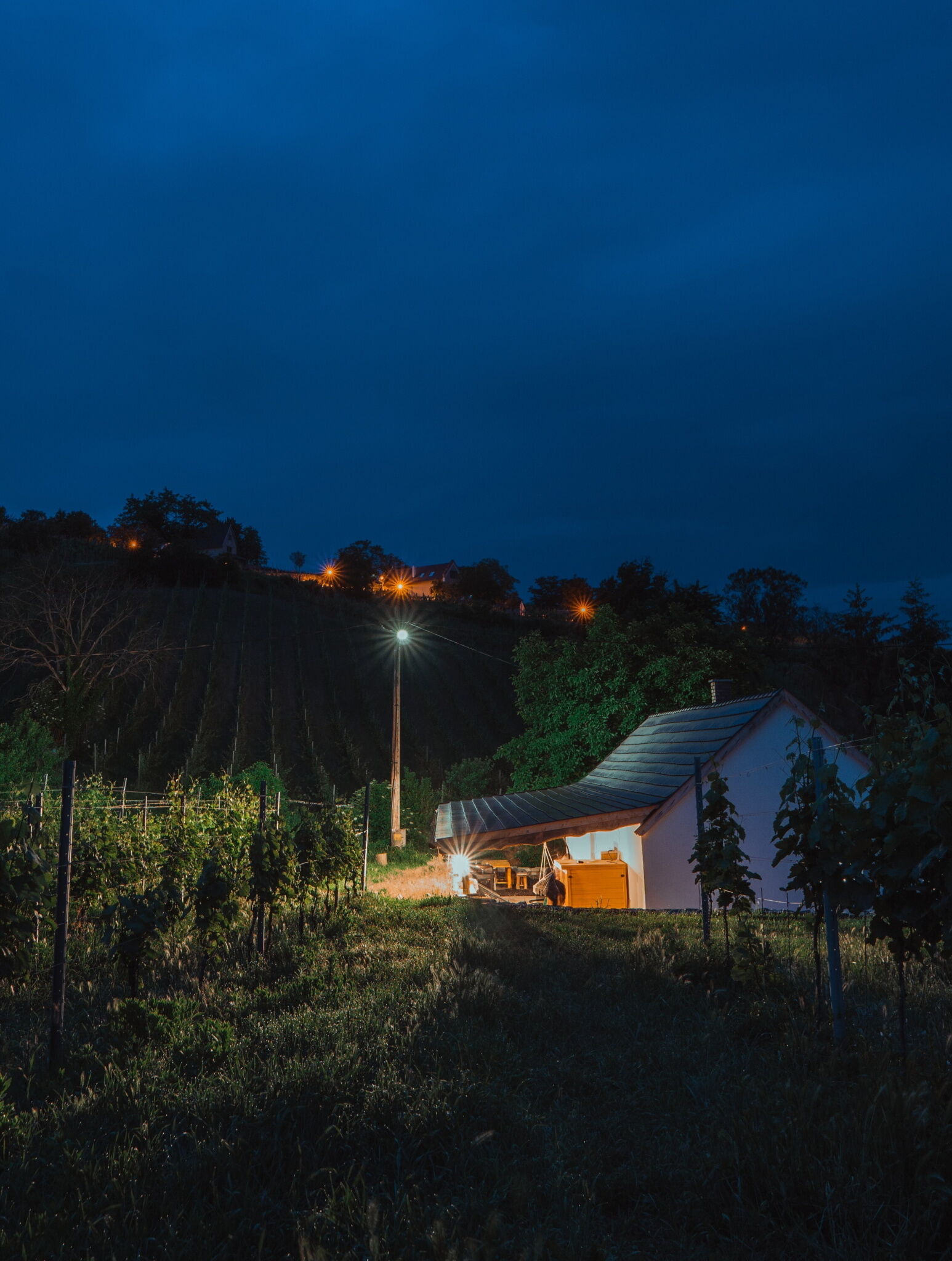 Somló Nordic – Somlószőlős fotó 19