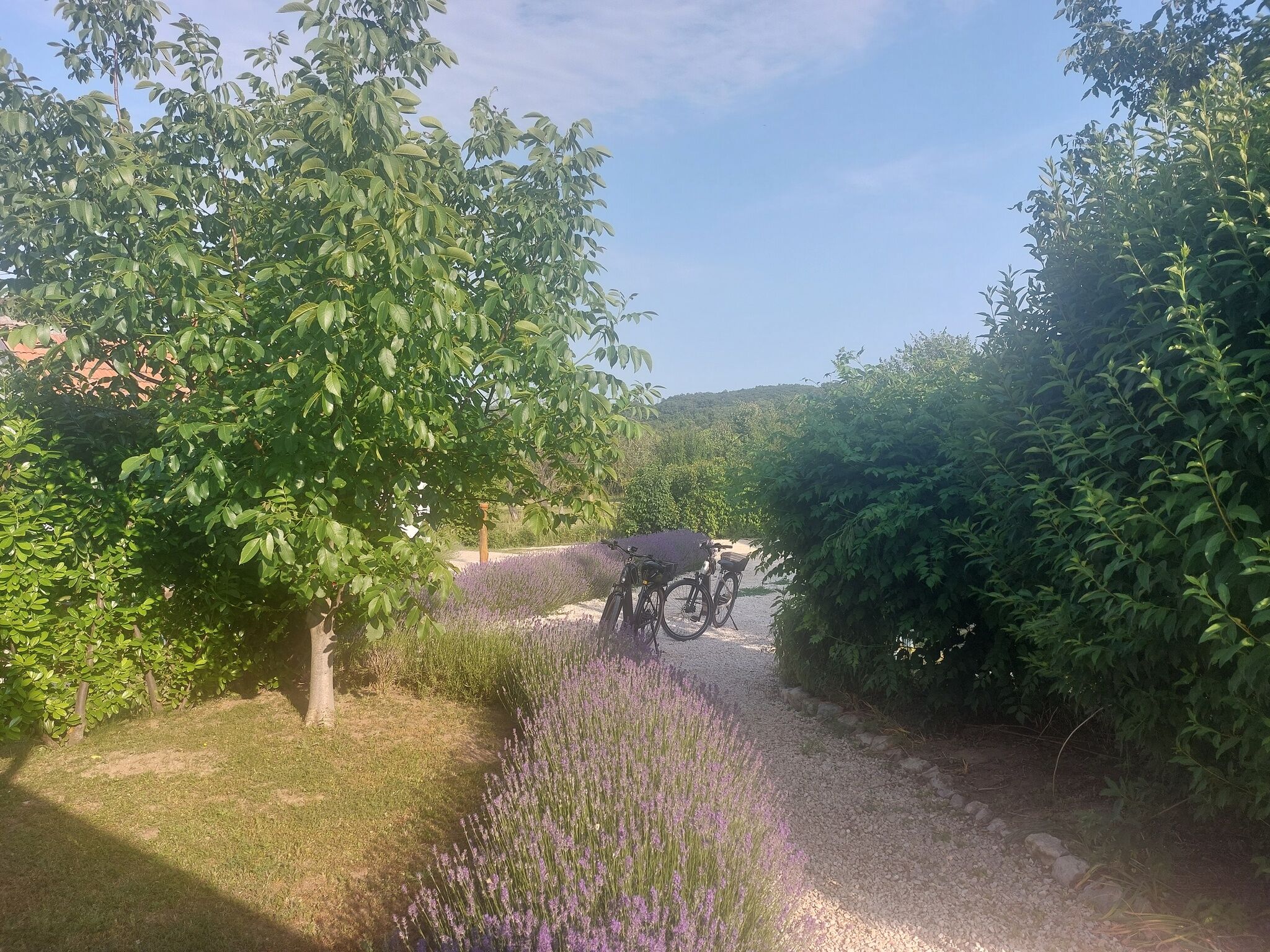 Spaletta Vendégház – Pécsely fotó 7
