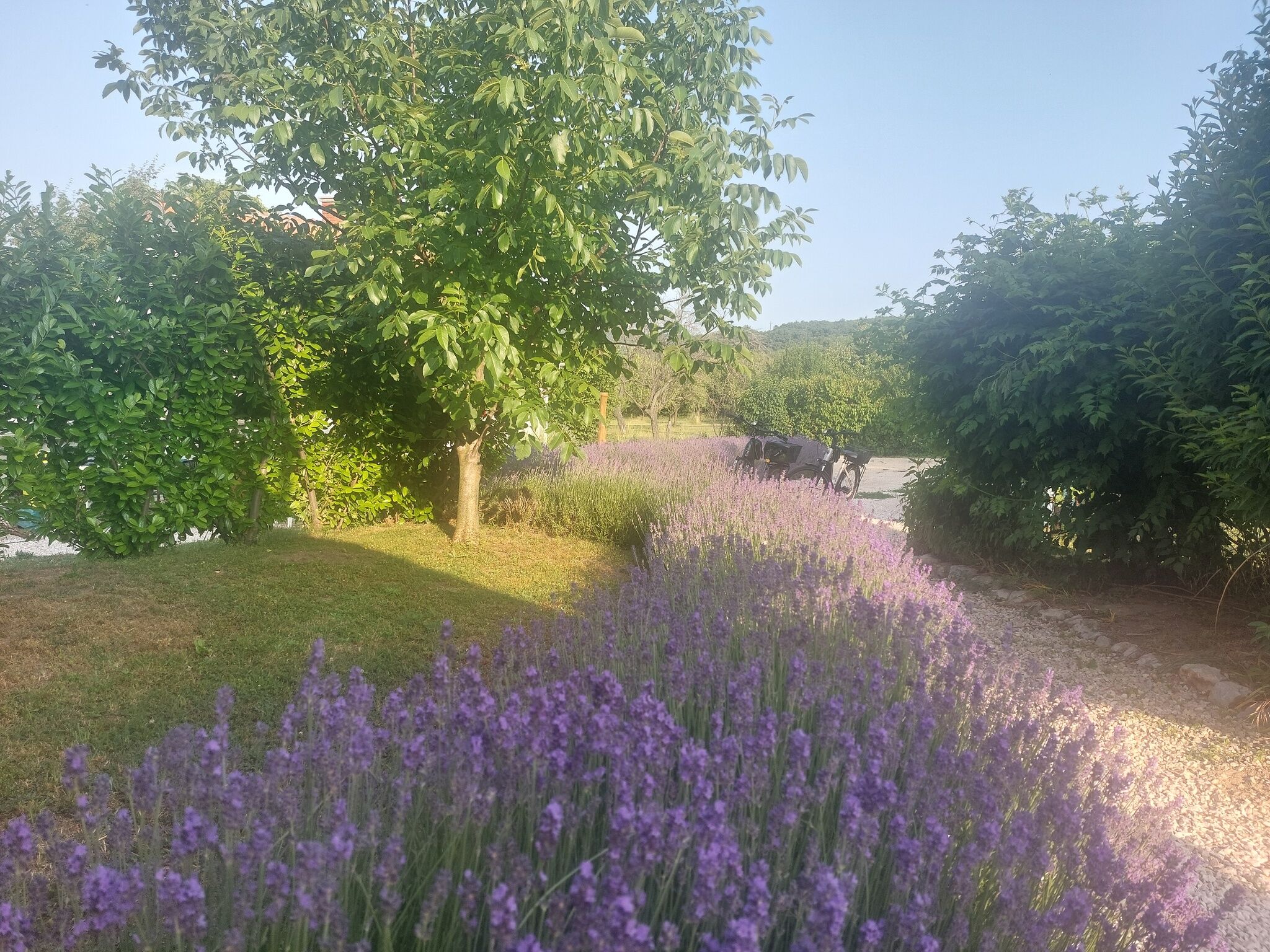 Spaletta Vendégház – Pécsely fotó 5