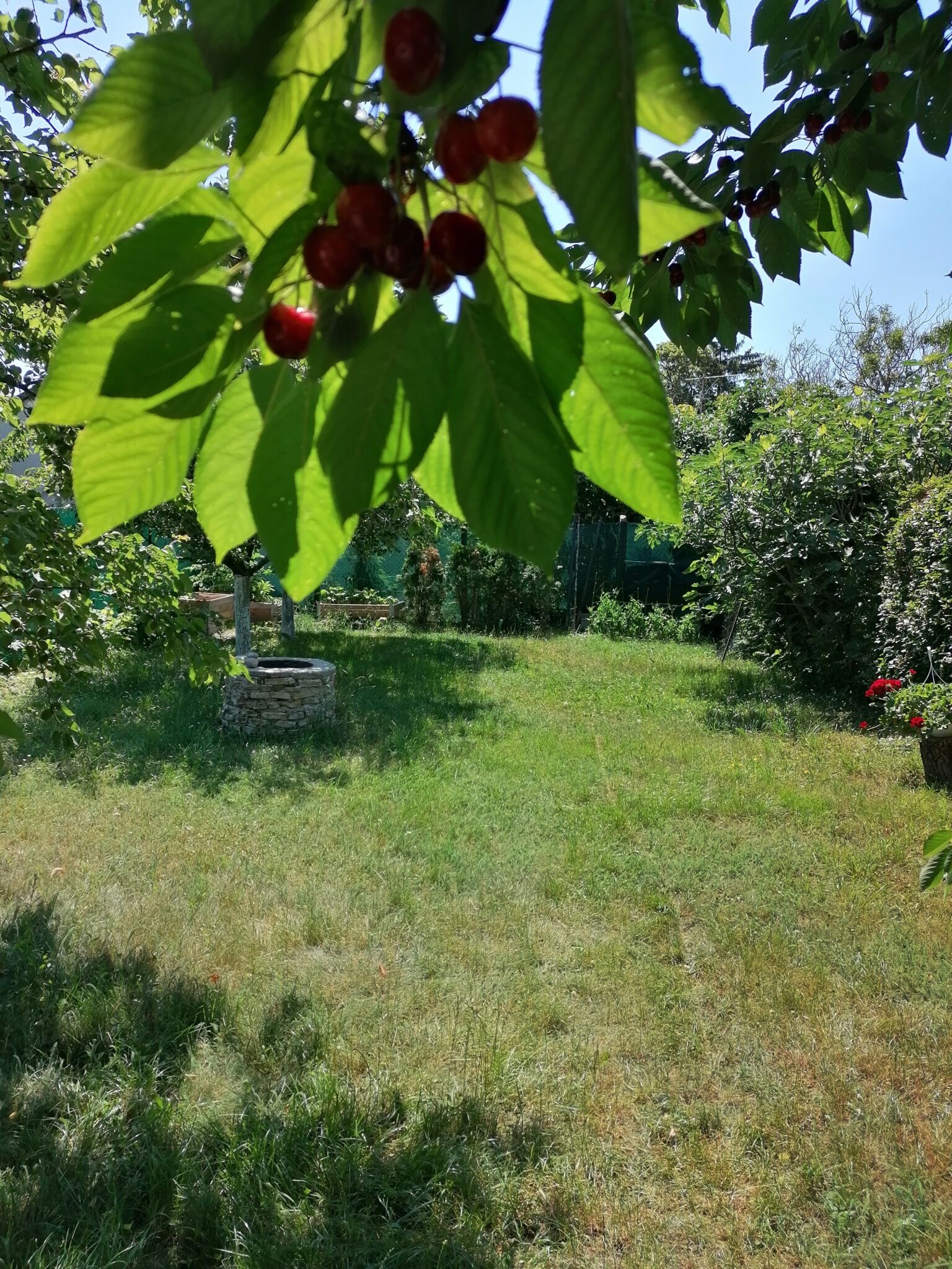 Angela Apartman – Balatonfüred fotó 4