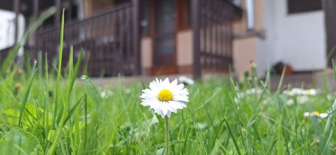 For You Apartman24