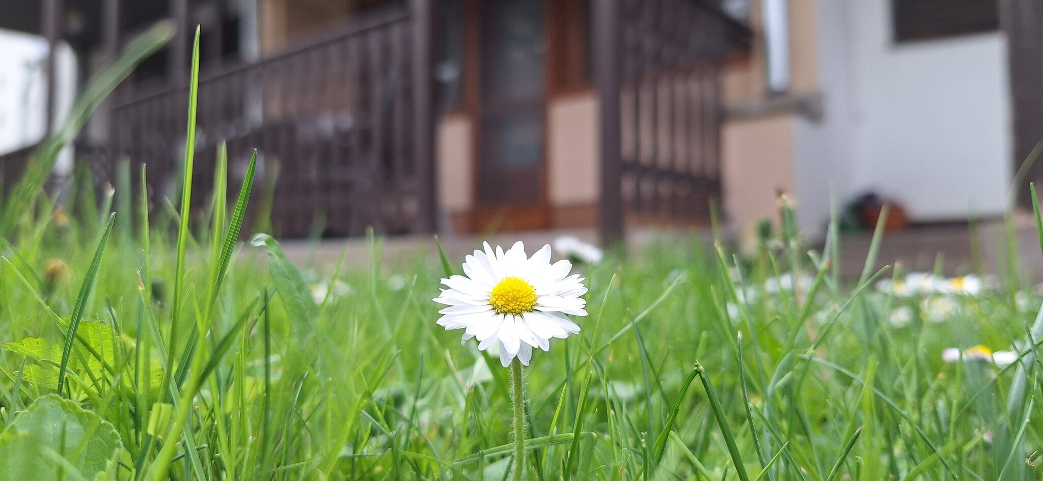 For You Apartman – Gyula fotó 24