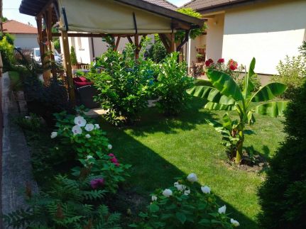 Csaba Apartman21