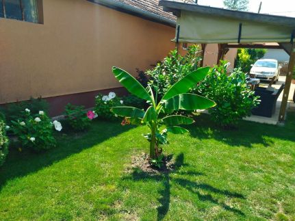 Csaba Apartman4