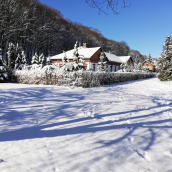 Parva Foresta Apartman