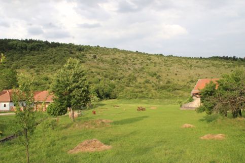 Korkóstoló Vendégházak75