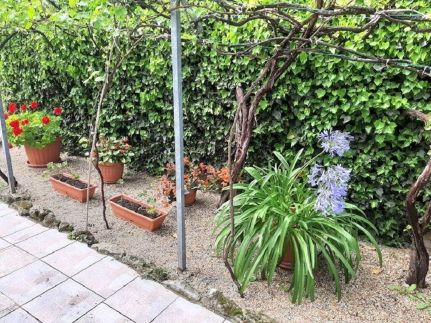 Aleksa Apartman2