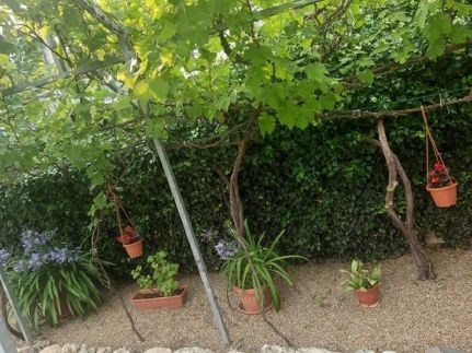 Aleksa Apartman5