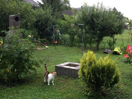 Home Apartman53