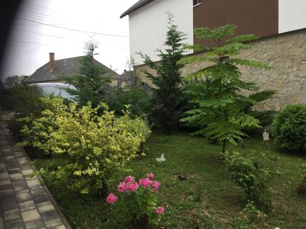 Home Apartman59