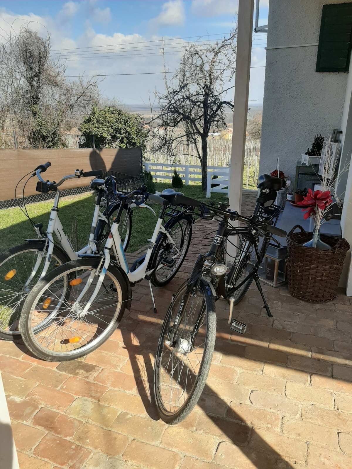 Smaragd Vendégház – Doba fotó 22