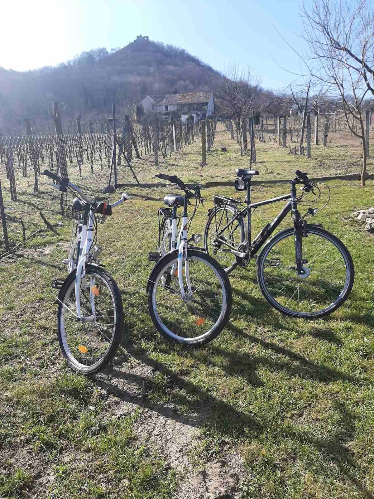 Smaragd Vendégház – Doba fotó 23