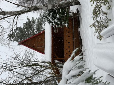 Kuckózó Vendégház – Mogyoróska fotó 28