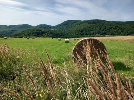 Kuckózó Vendégház – Mogyoróska fotó 30