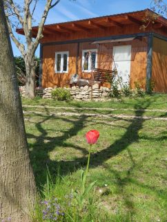 Dióliget Apartman22