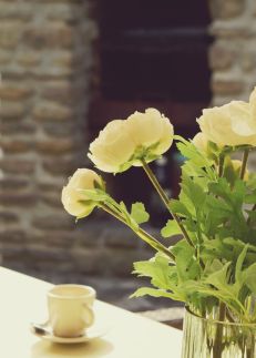 Babér Cottage Vendégház – Tihany fotó 33