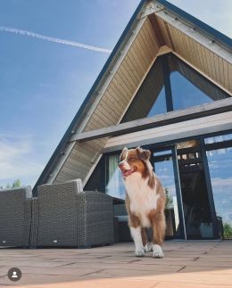 WoodParadise Apartman40