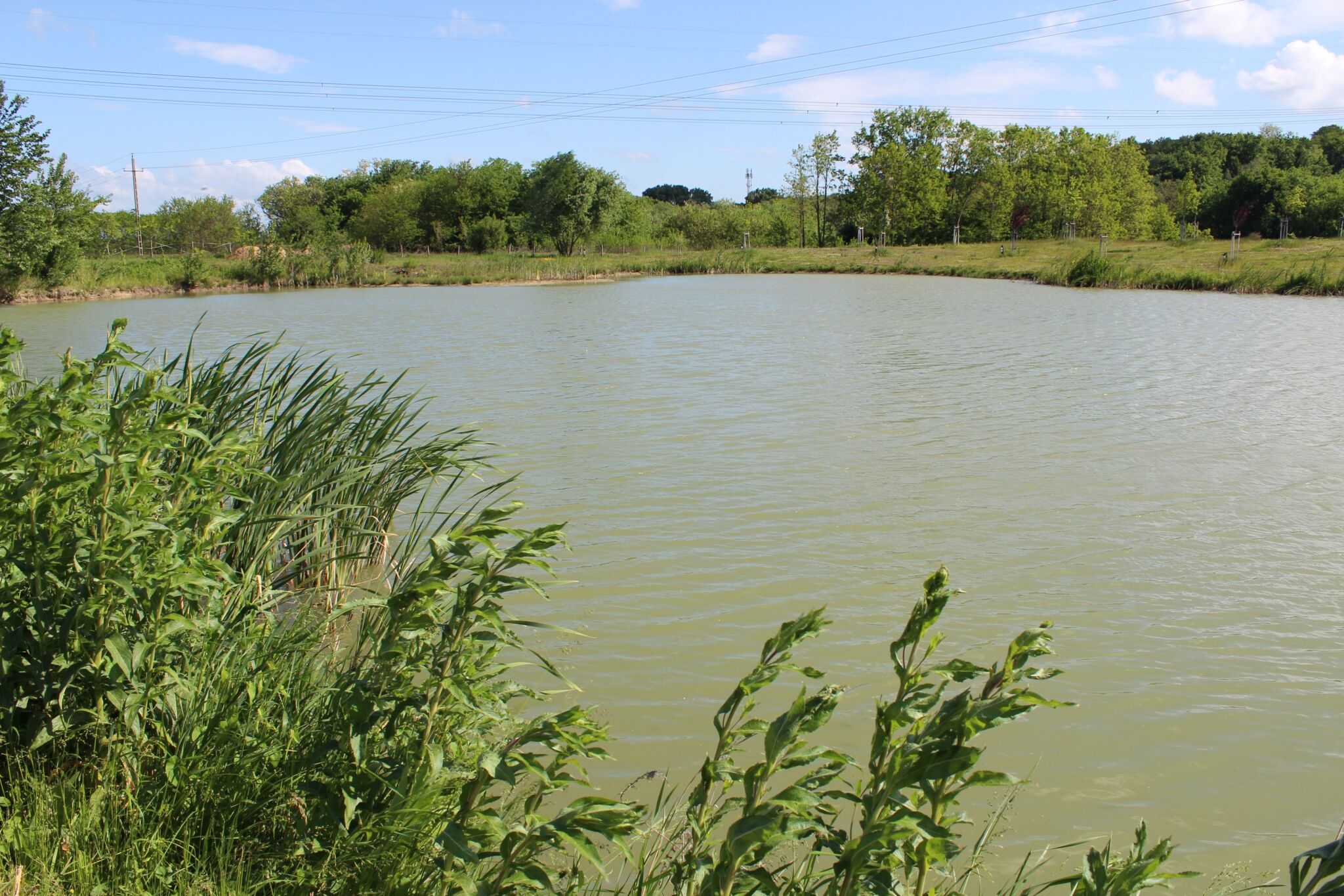 Pimpernel Piknik Park Vendégház – Vácrátót fotó 11