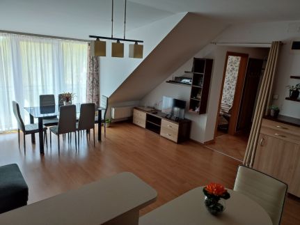 LARIX Apartman11