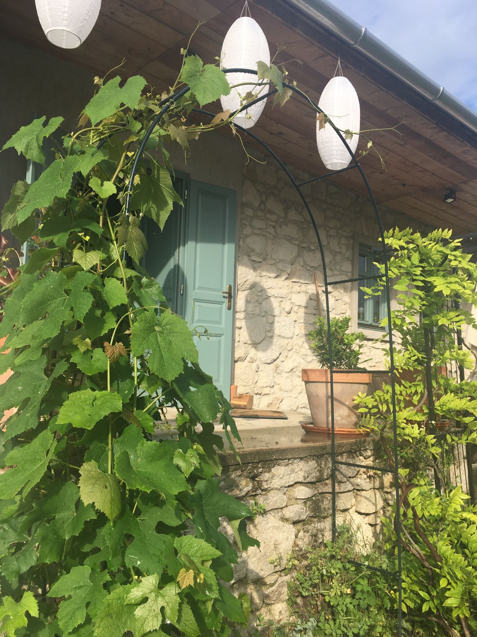 Hungry Grape Guests Vendégház – Erdőbénye fotó 5