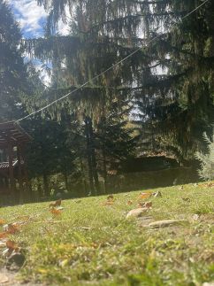 Maja Erdei Pihenőház36