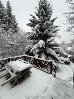 Fagyöngy Pajtaház20