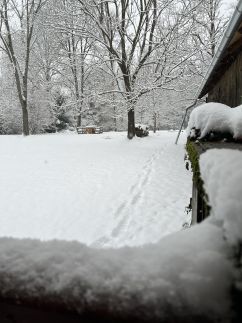 Fagyöngy Pajtaház22