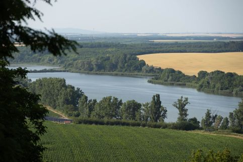 Palkonyha Panzió Speiz49
