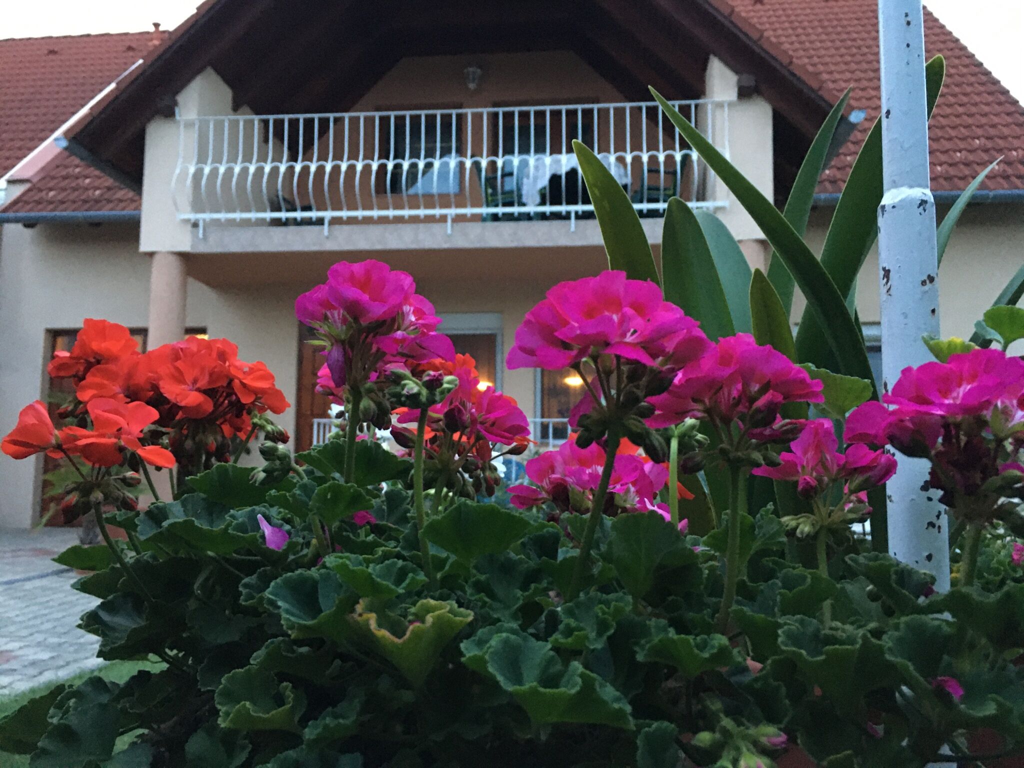 Janos's Home of – Balatonfüred fotó 1