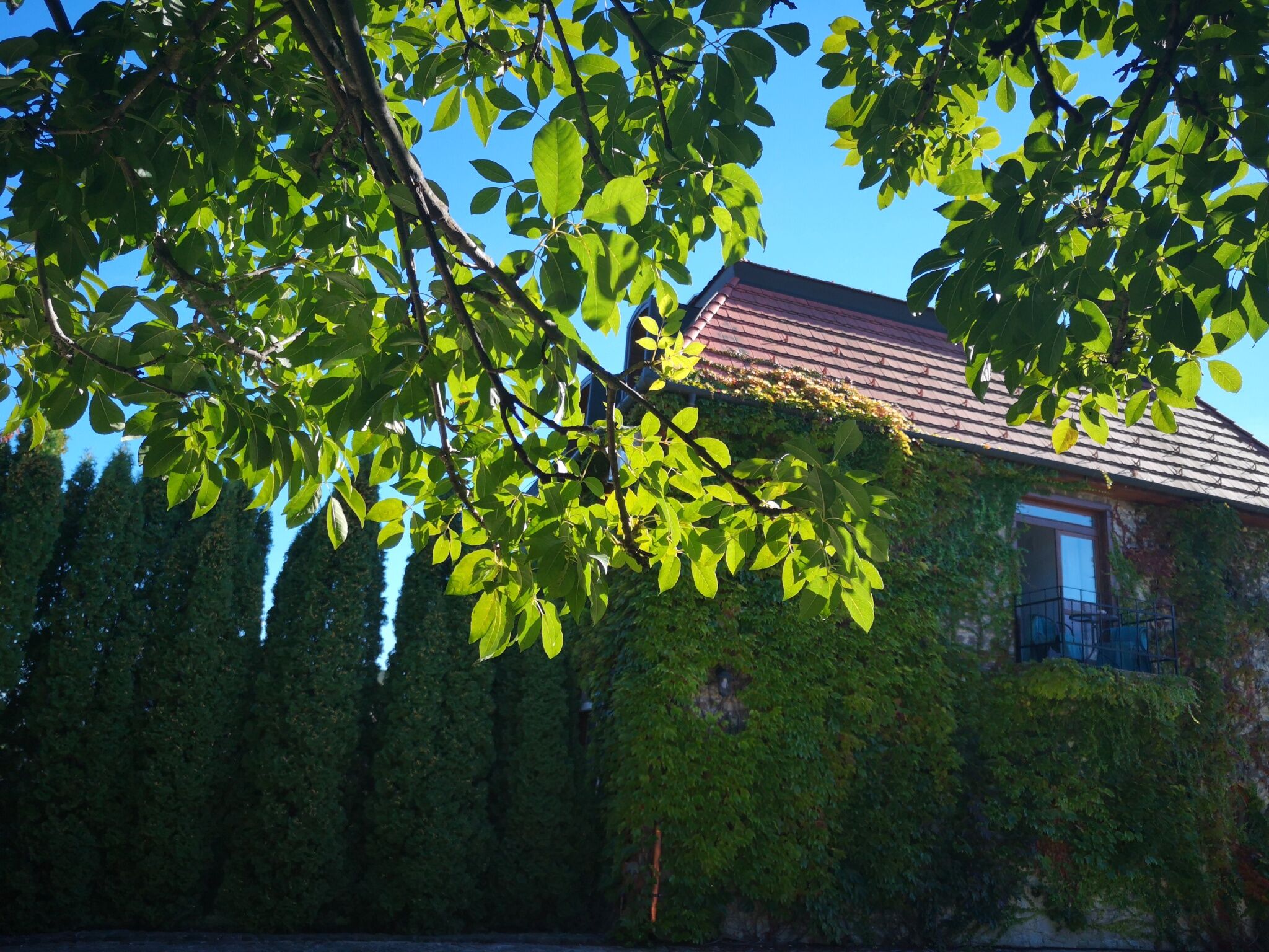 Kis Helikon Villa – Hévíz fotó 1