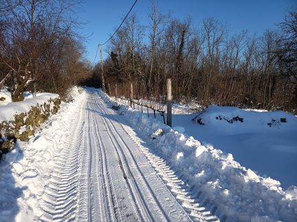 Othello Vendégház54