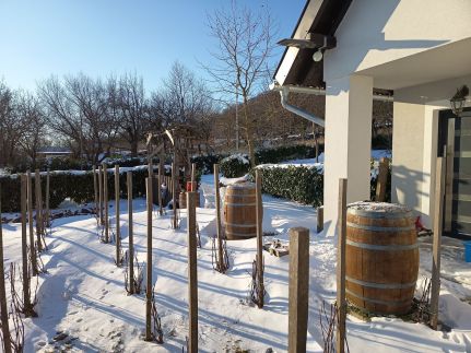 Othello Vendégház55