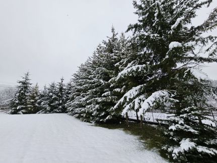 Nekézseny Gyöngye Vendégház63