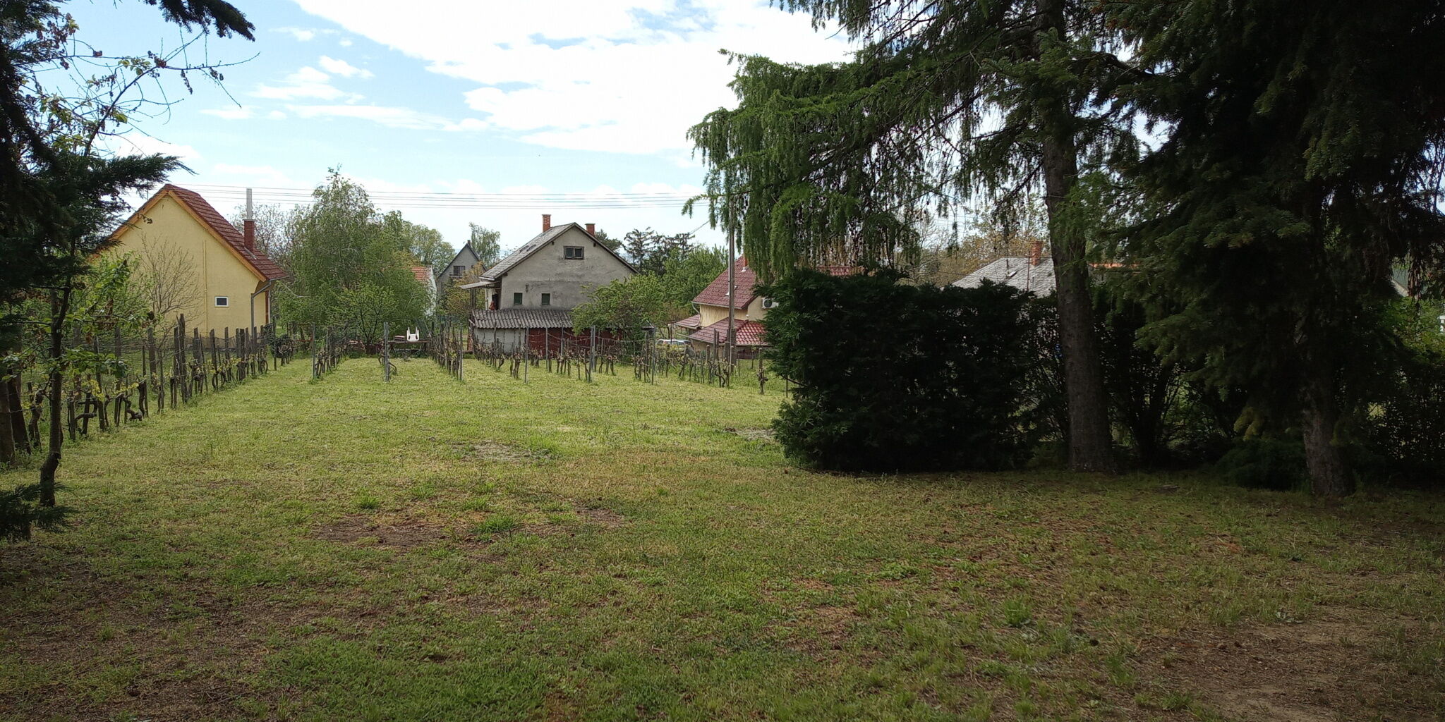 Atlantisz Apartman – Badacsony fotó 17