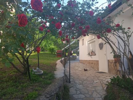 Rózsamorzsa Vendégház