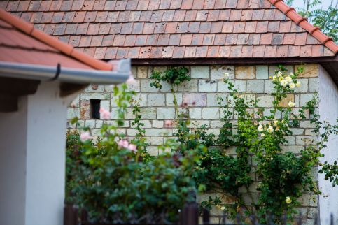 Hegyaljai Panoráma Vendégház50