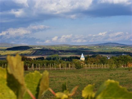 Hegyaljai Panoráma Vendégház40