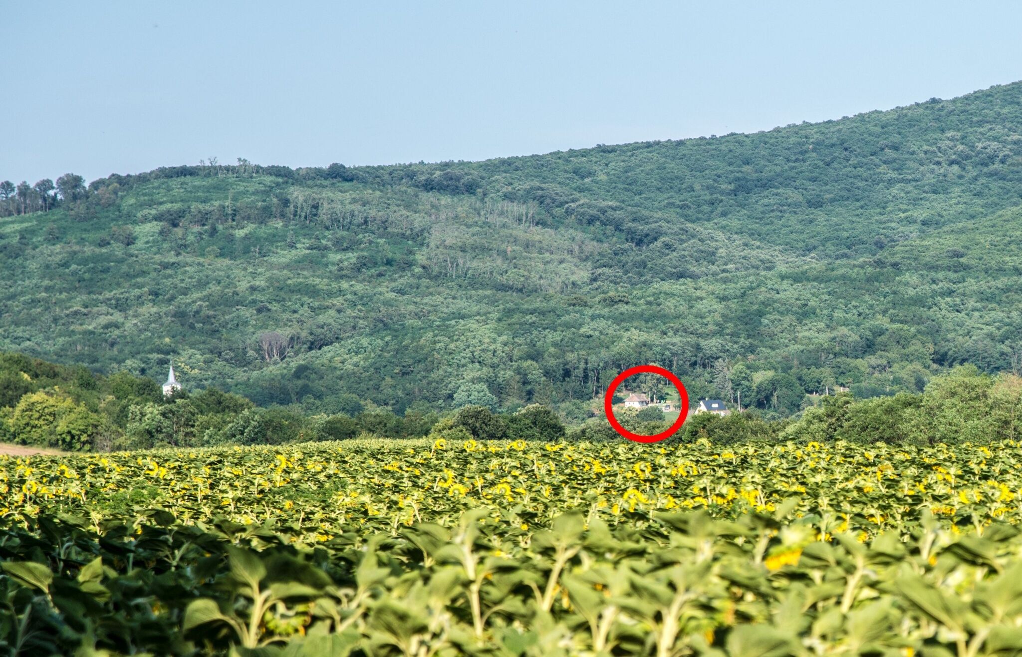 Puckó Kabin Vendégház – Perőcsény fotó 17