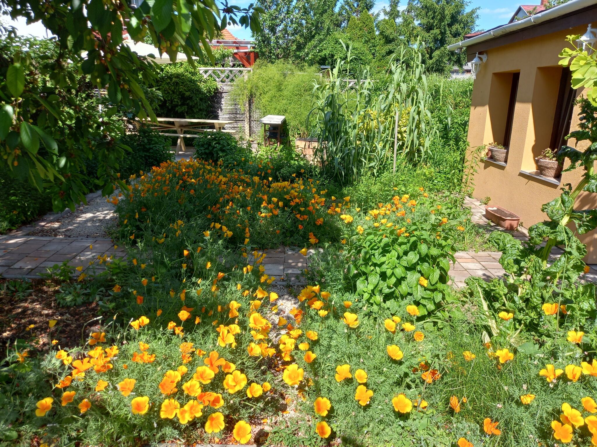 Jázmin-Szieszta Apartmanház – Balatonfüred fotó 14