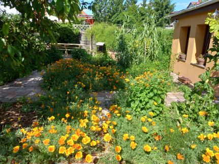 Jázmin-Szieszta Apartmanház19